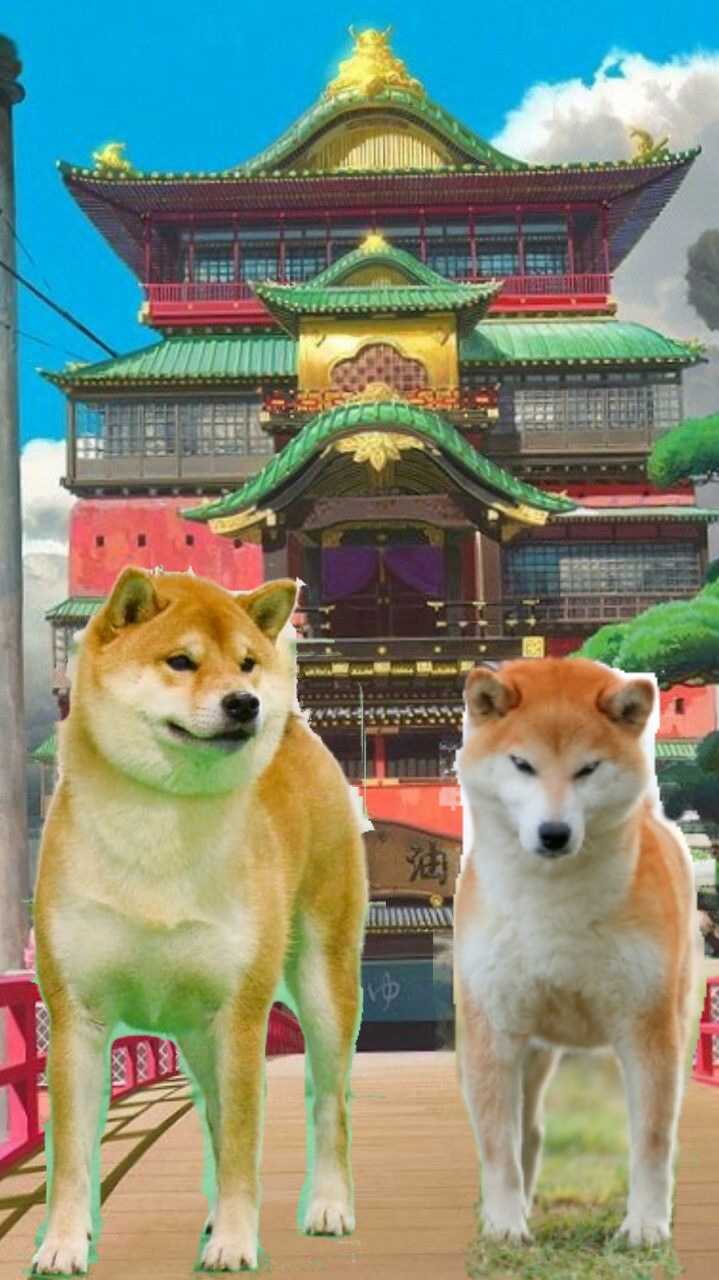 niobe no sun go tessaiga shiba tessaiga
